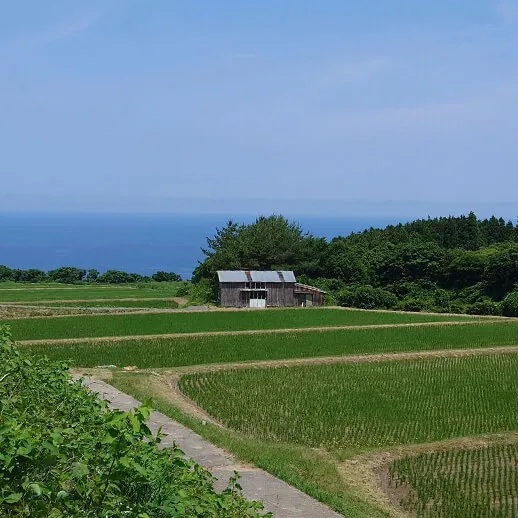 海府屋イメージ画像